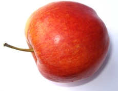 2-Apfel.jpg